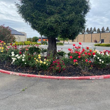 Oasis Inn Sacramento- Elk Grove Εξωτερικό φωτογραφία